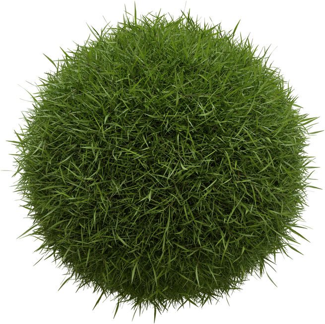 Abstract mockup spherical fresh green grass ball 3D render